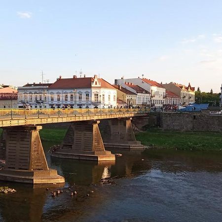 Затишна Двокімнатна Квартира В Самому Серці Ужгорода Užhorod Esterno foto