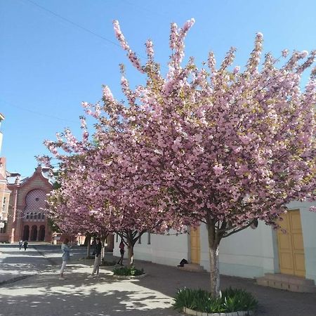 Затишна Двокімнатна Квартира В Самому Серці Ужгорода Užhorod Esterno foto
