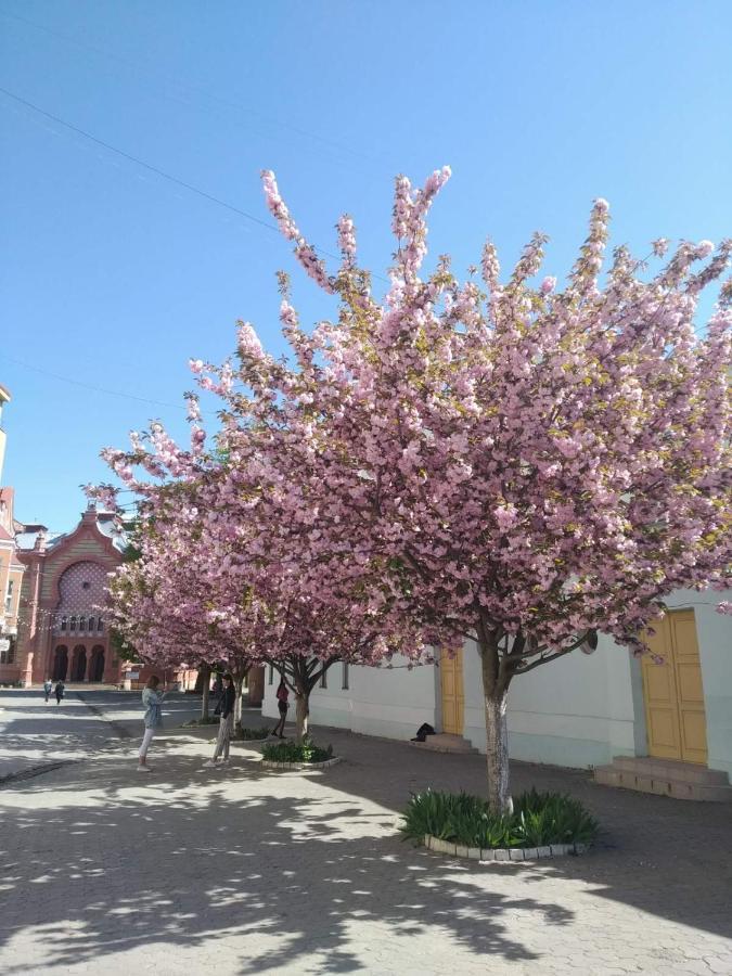 Затишна Двокімнатна Квартира В Самому Серці Ужгорода Užhorod Esterno foto